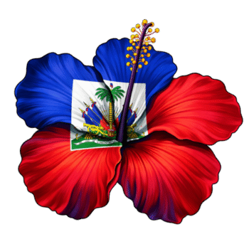 Haitian Flag Hibiscus Orchid Caribbean Island Flower - HAITIBEST